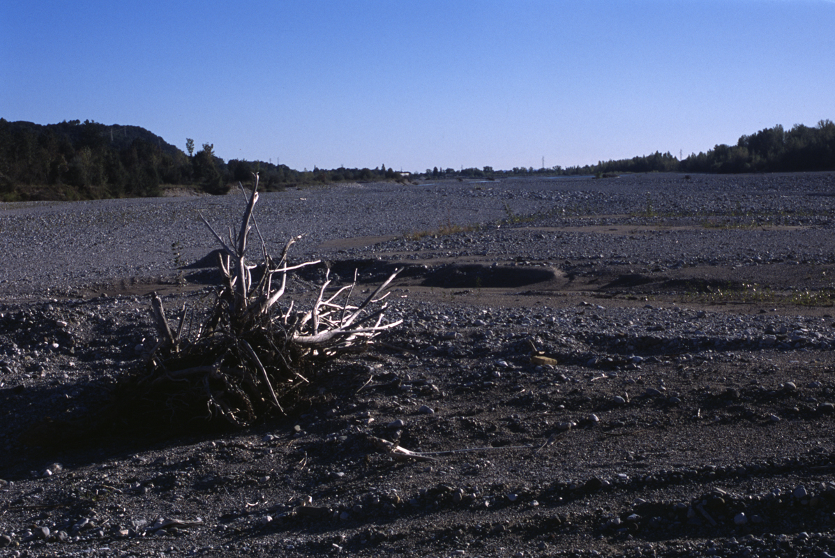 Stacks Image 641