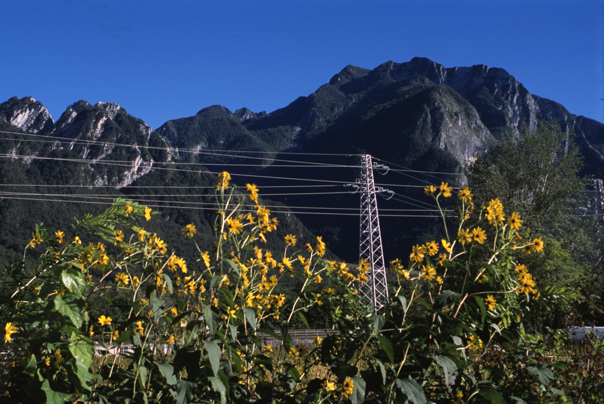 Stacks Image 694